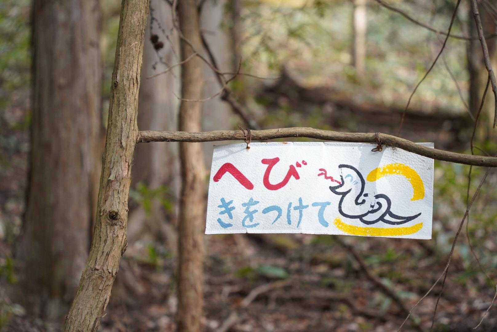 経ヶ岳（仲仙寺）の写真