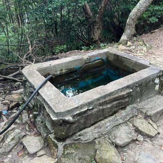 水場は虫さんのプール🏊