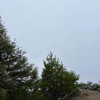 どんどん真っ白に…諦めて下山開始🤦‍♀️