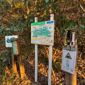 真名瀬コース下りました。