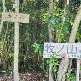 牧ノ山から稜線の縦走スタート