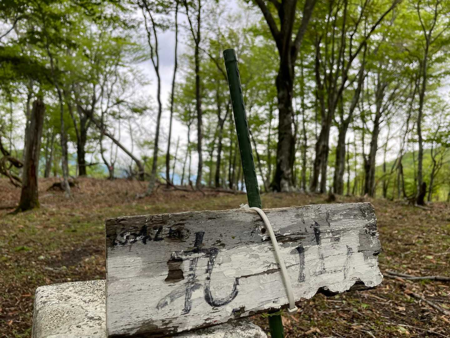 丸山に到着
