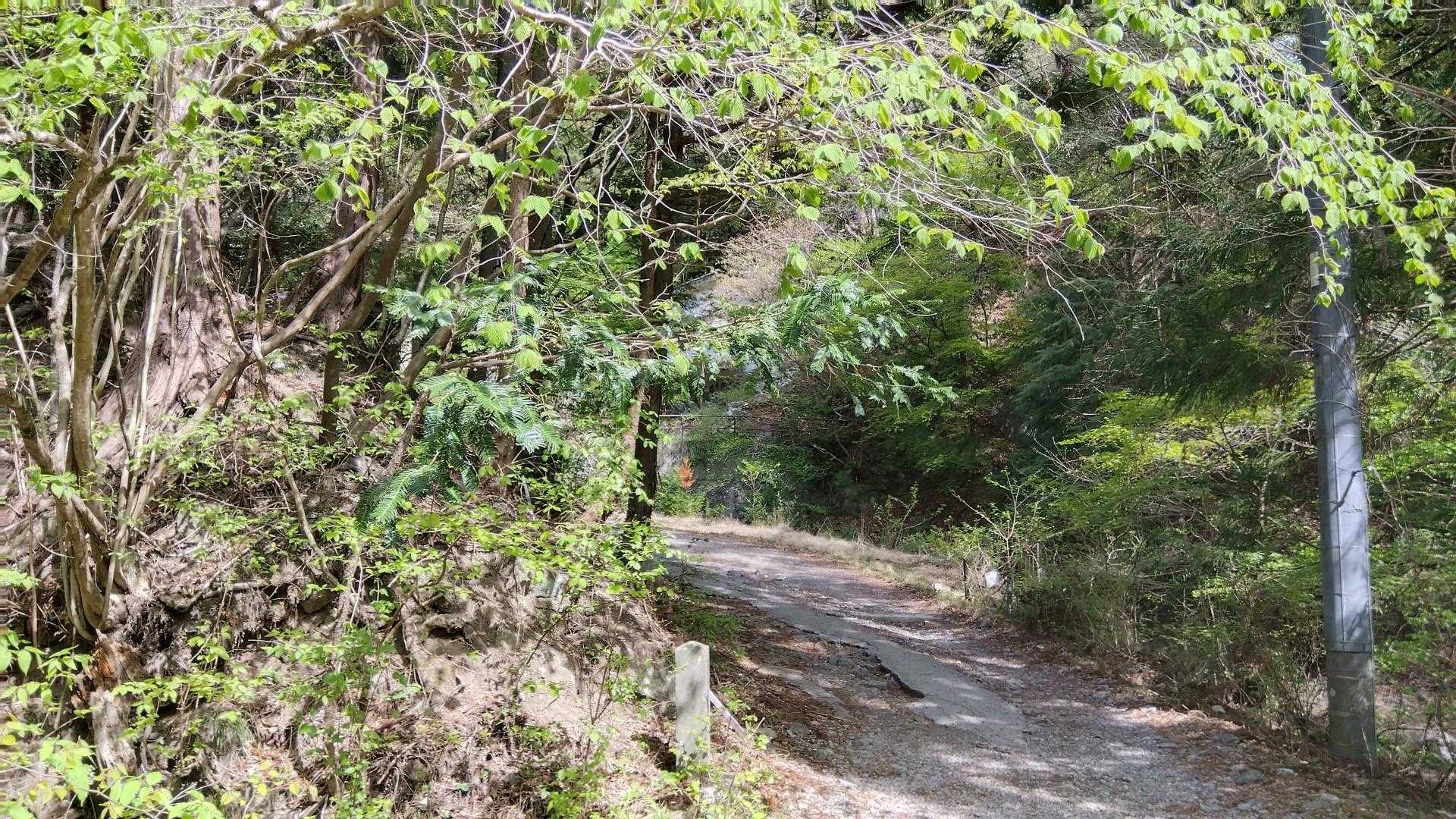 丁目石「二丁目」！
何丁目まであるんだろう～

五十二丁目まで～