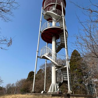 走って登ったら、結構ゆれる🫨　
