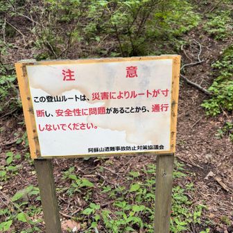 コレは地震の時だとおもうけど
人間の胴体くらいの岩が🪨
落ちていたのでそれかと
