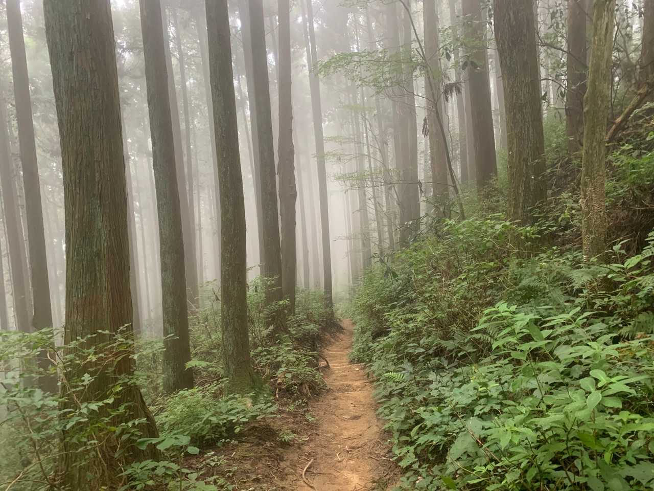 金剛山山頂売店-金剛山 周回コースの写真
