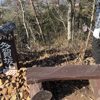 多賀坂山到着
手前で出会ったいくおさんとhsysさんからお聞きした銀試掘穴を、ISGさんが探しました。