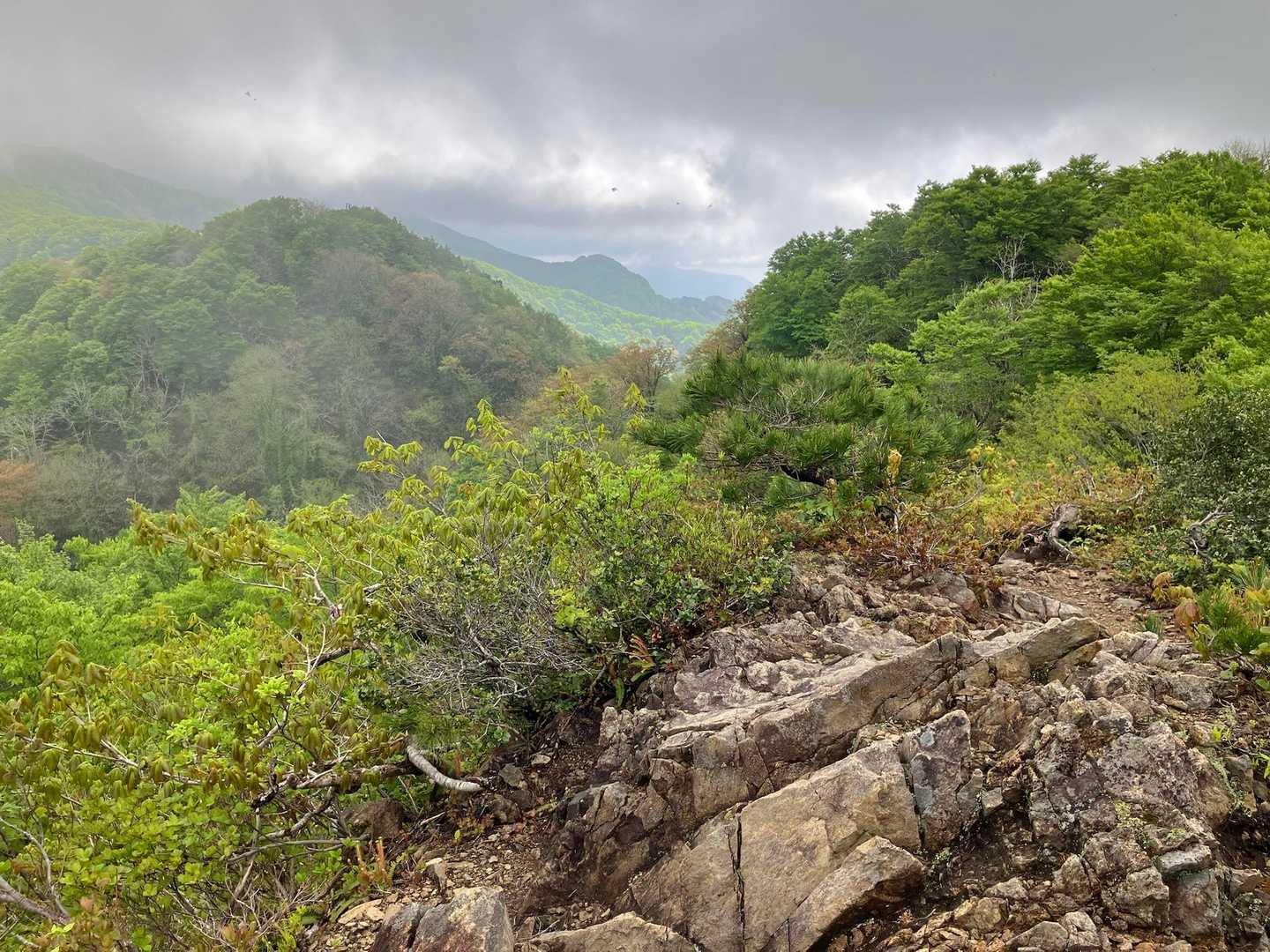 虚空蔵山-宝珠山-間の峰-大蛇山 往復コースの写真