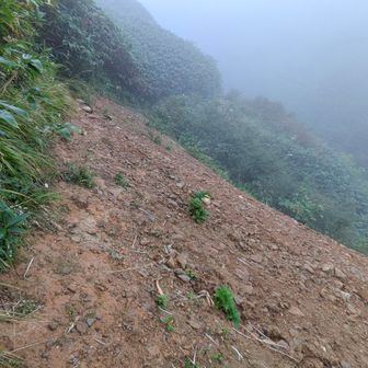 春先からログ写真でアップされてた崩壊地ですね。ゆっくり行けば大丈夫です。稜線上の武能岳手前には切れ落ちている崩壊地が2カ所くらいあり。そこは要注意でした。
