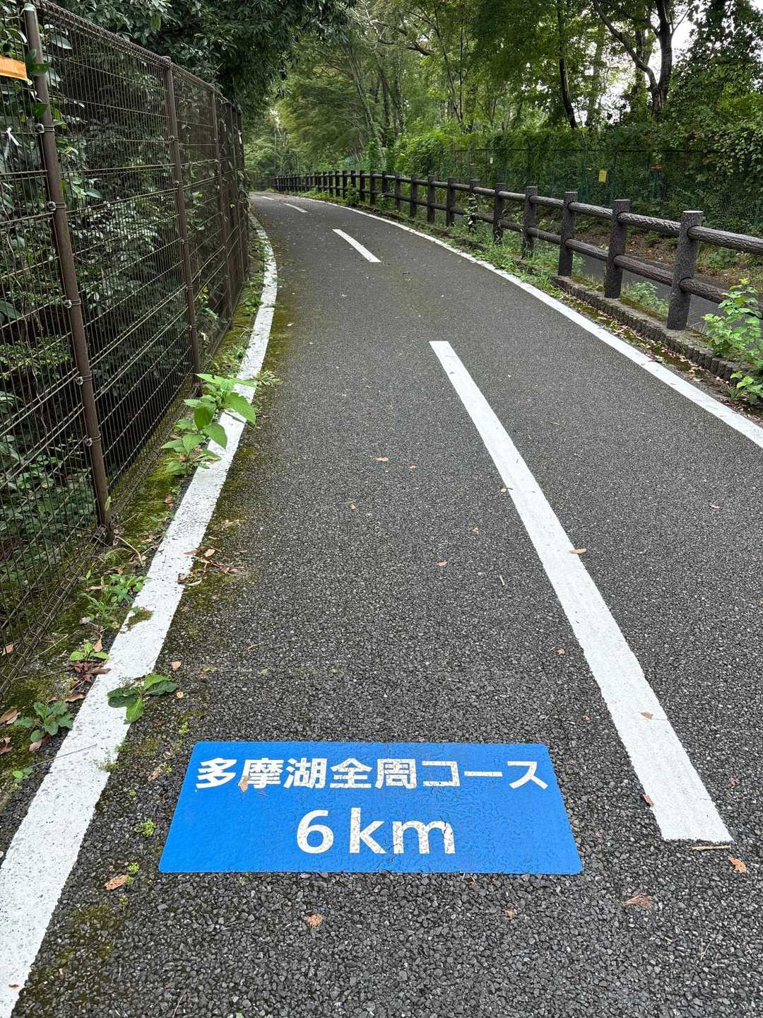 スタートから6km地点。
右脚の脛の下あたりが痛い💦