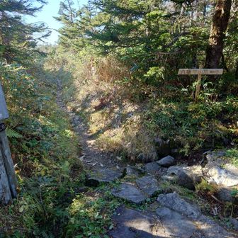 ふけの湯の長沼からくる道
右が山頂
