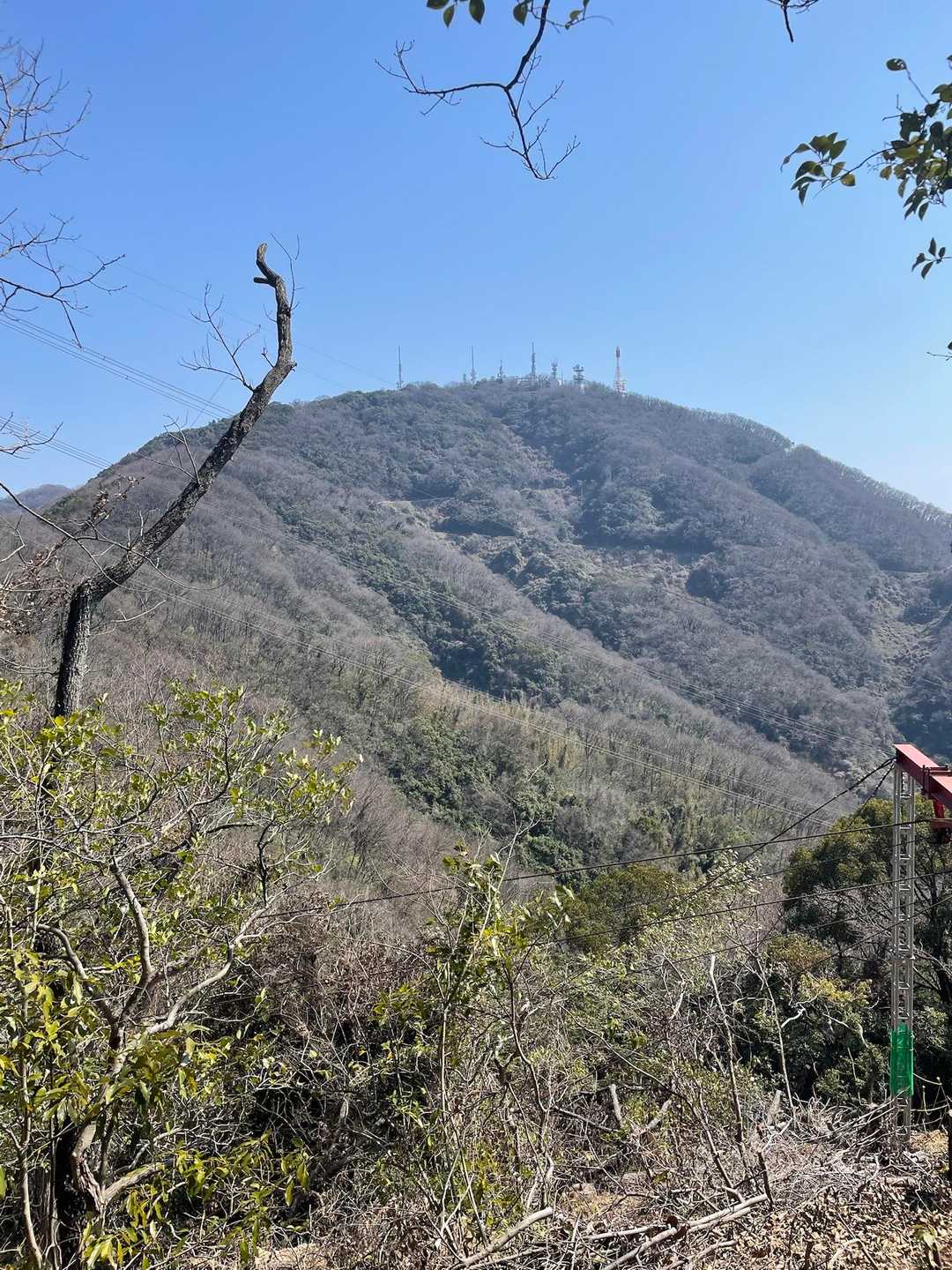 金甲山山頂を観る
