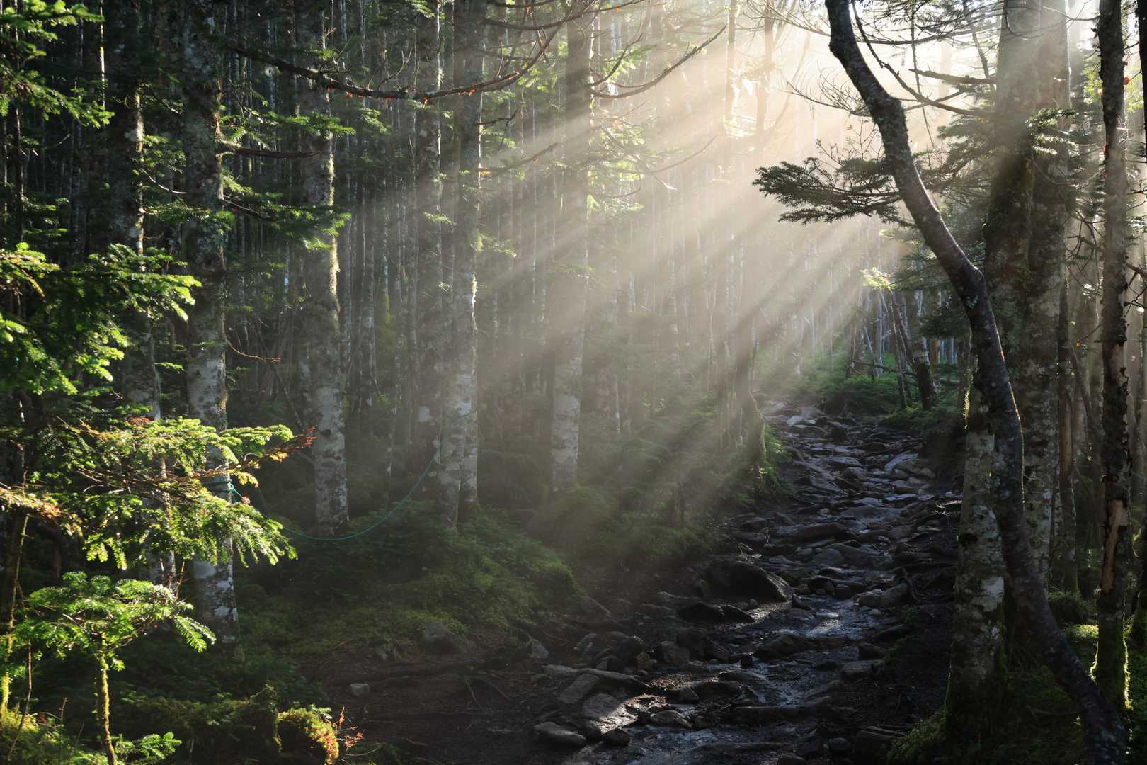 大弛峠-朝日峠-朝日岳-金峰山-北奥千丈岳 周回コースの写真