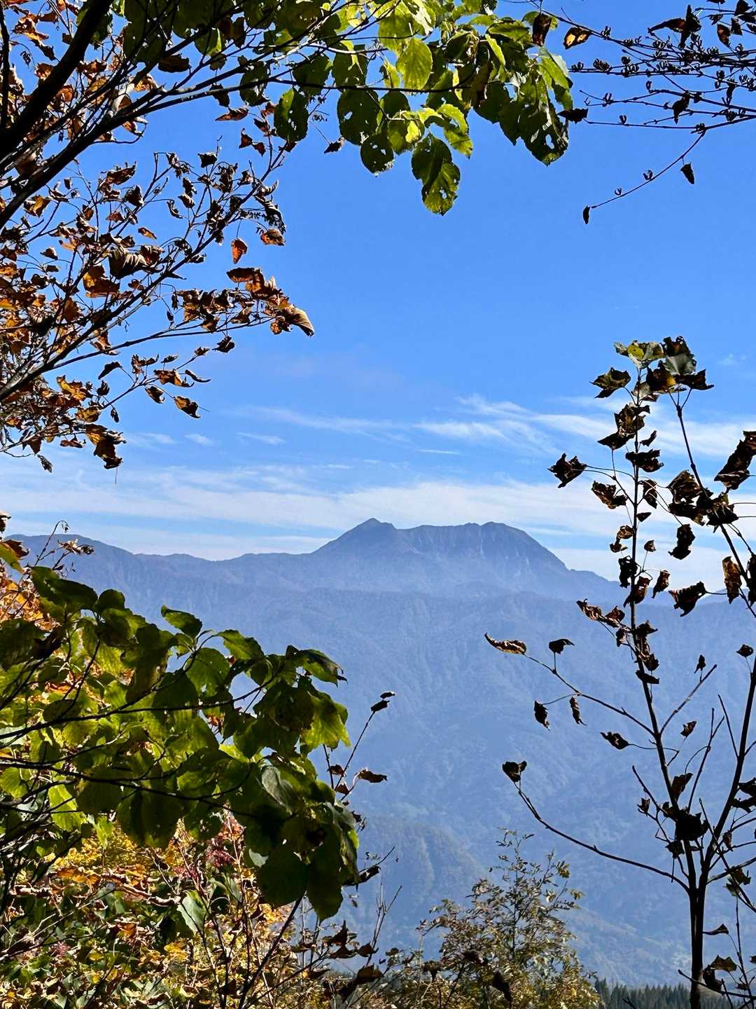木の間から高妻山や雨飾山がきれい