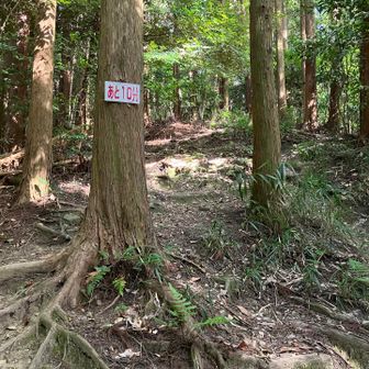 六ヶ岳山頂まで10分