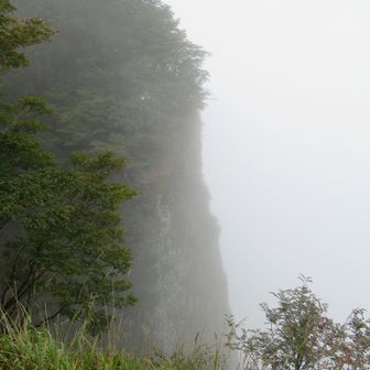 すごい断崖。
おにぎり食べながら30分ほど待ちましたが、ガスは晴れませんでした。