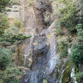 写真では伝わらないもどかしさ(｡>A<｡)え～ん