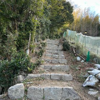 いきなり階段😧