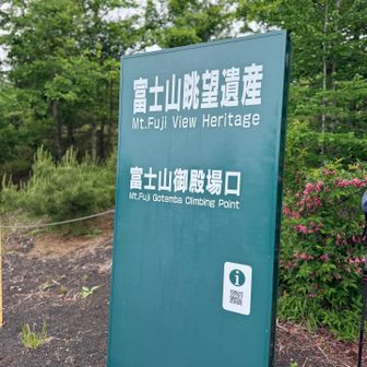 駐車場到着