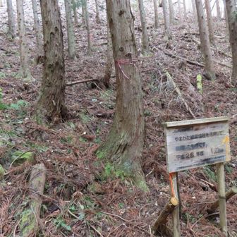 トラバースしてここに下りる