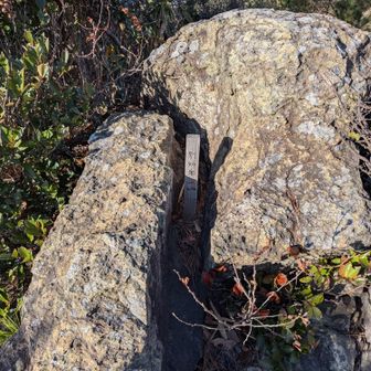 小さく別所奥山ゲット👍（２回目）