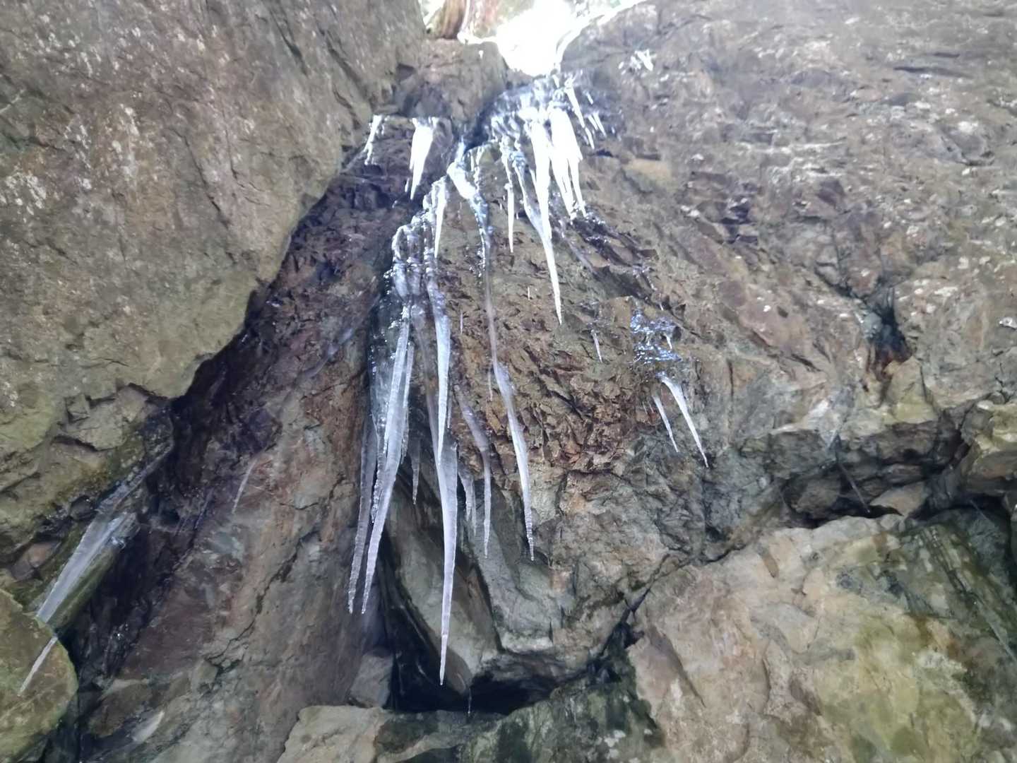 帰りも氷柱を見上げて
落ちてきたら刺さりそう😱