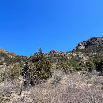 パッと観た瞬間は東赤石山だと思った右の山は八巻山。左は？