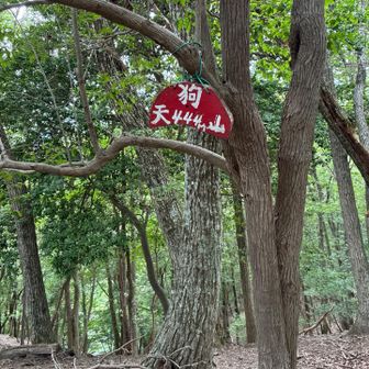 天狗山