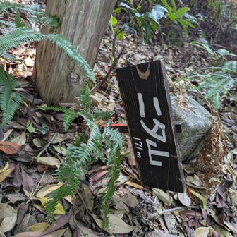 ニタ山登頂！
なんて読むのかまだわからないのですが、「ふたやま」か「にたやま」です😆