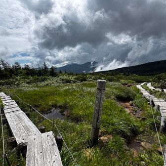 「まだ行く？」
「時間区切ってあと30分進もうか」
西吾妻山に向かう右手へ進む