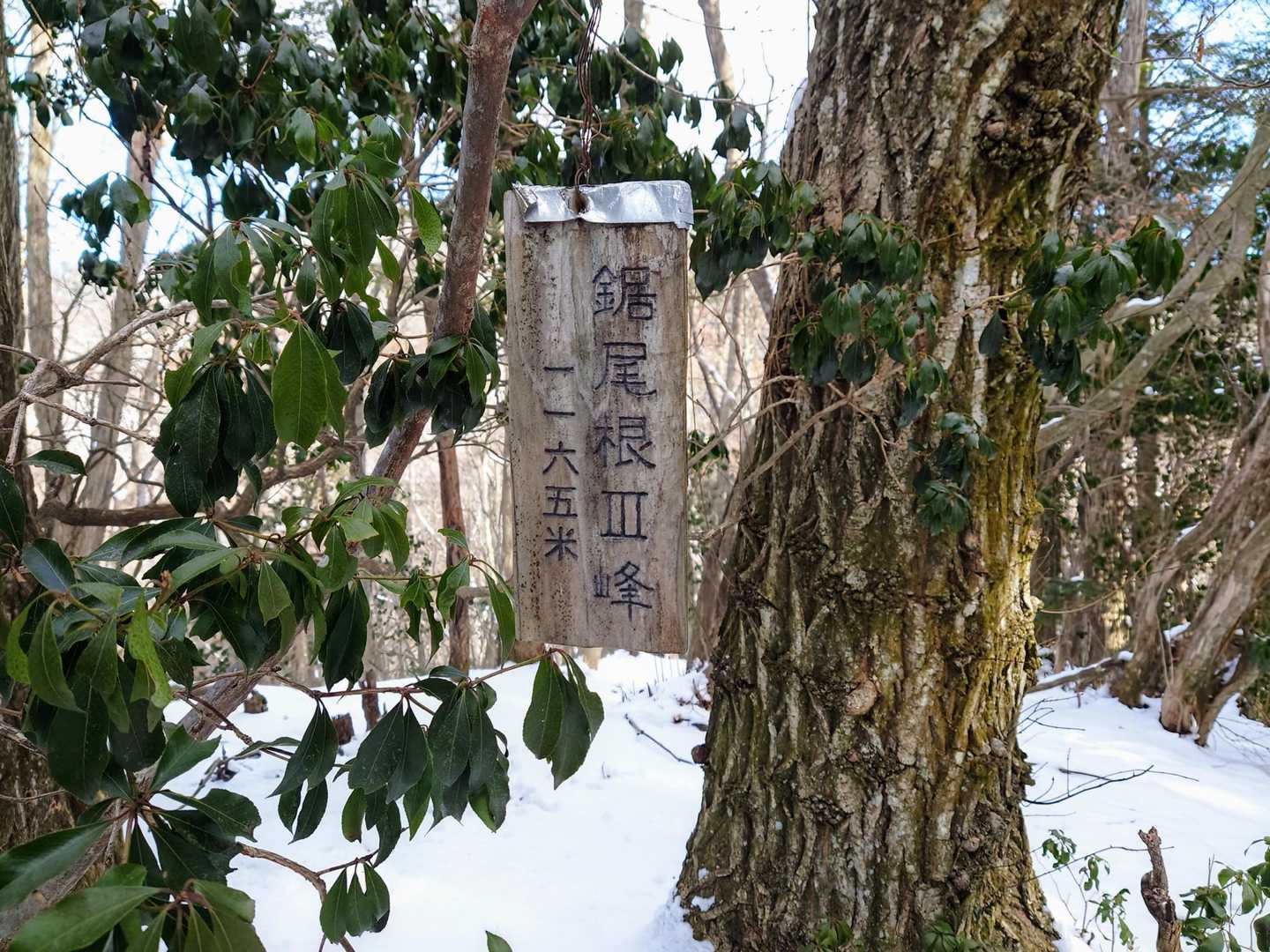 このシリーズの山頂標は探すのに時間かかります😅