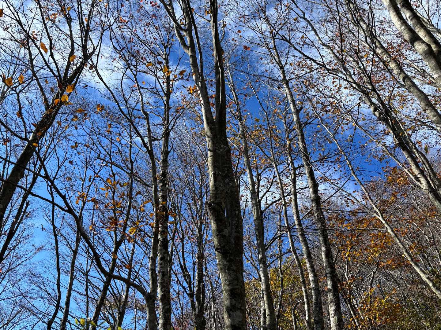 ホントにきれい