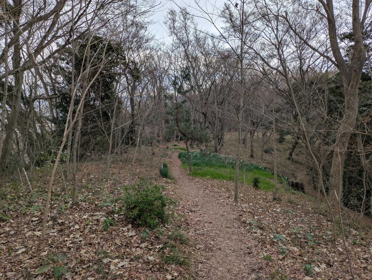 The里山