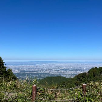 今日はよく見えます
