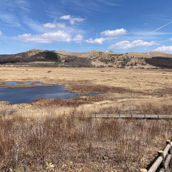 一周して戻ってきました！
奥にゼブラ、北の耳、南の耳、蓼科山、蝶々深山、車山が見えてます