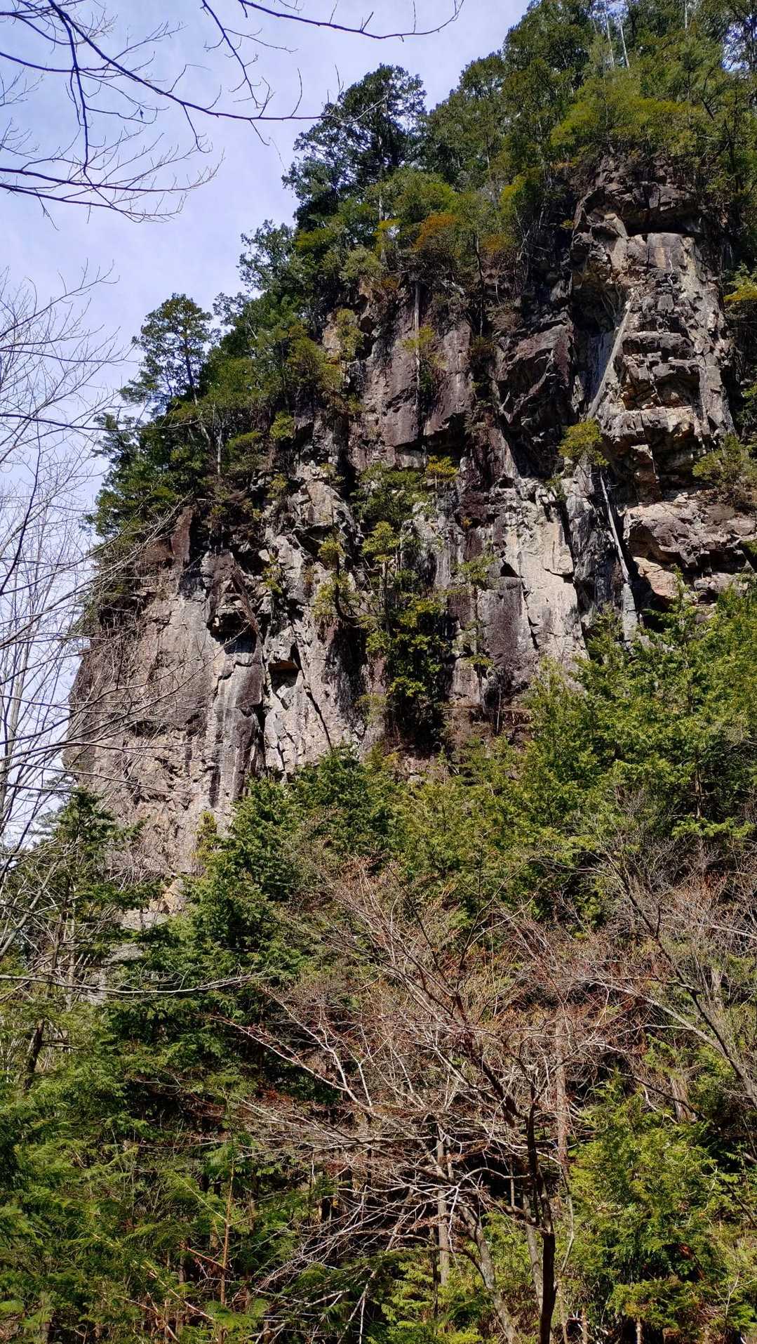 御前山 往復コースの写真