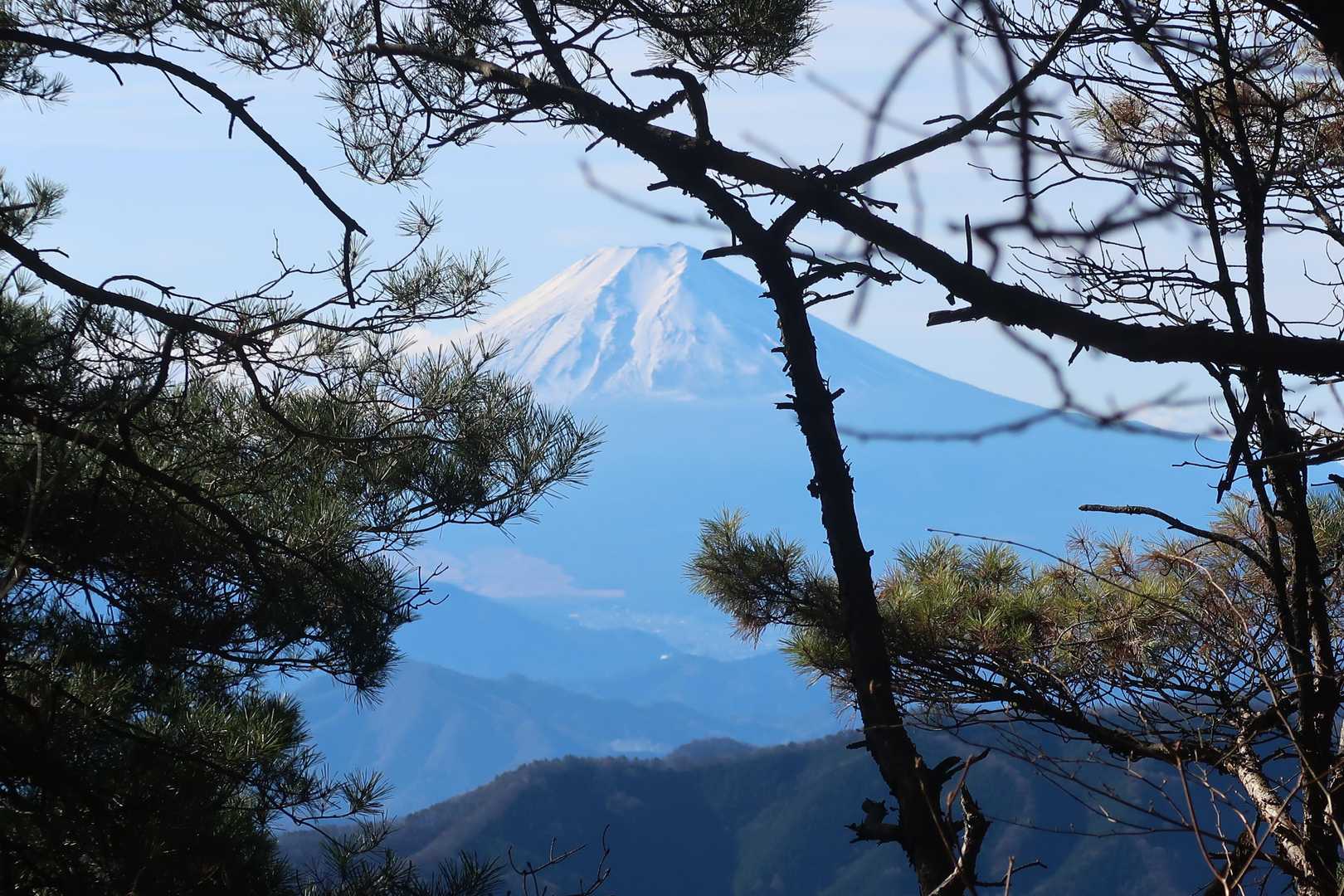 富士山見えた♫