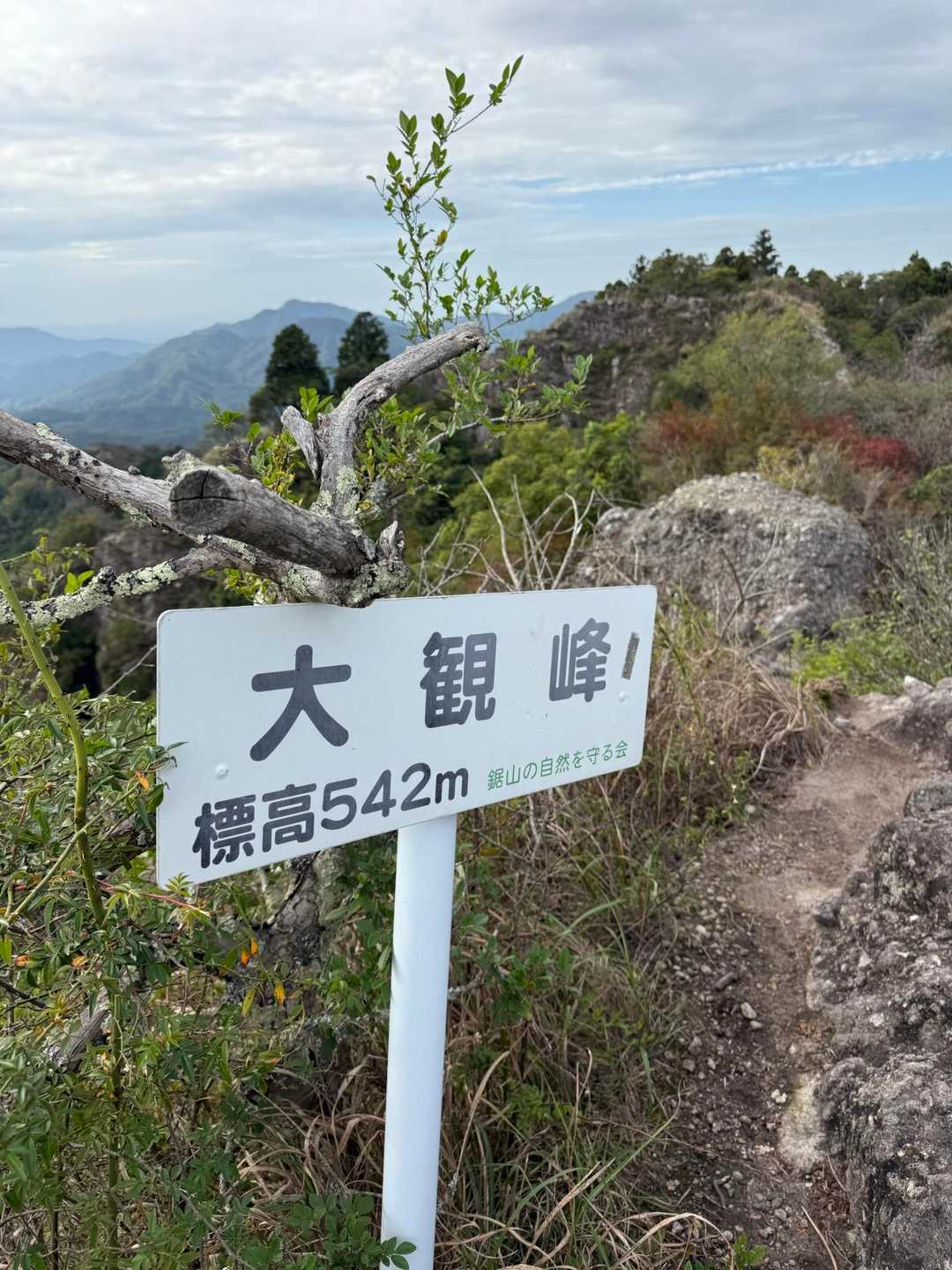 田原山 往復コースの写真