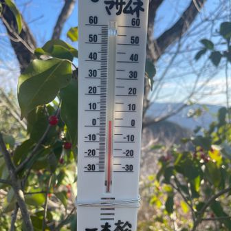 ４座目：一本松🌲
ピークの温度計🌡️は4℃😳