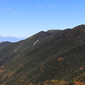 夢の庭園にて
金峰山