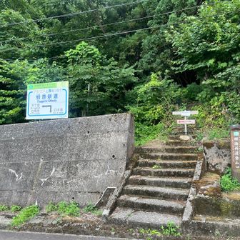 国道の登山口に遂に着きました！
16時51分の電車に間に合う時間に降りられました。