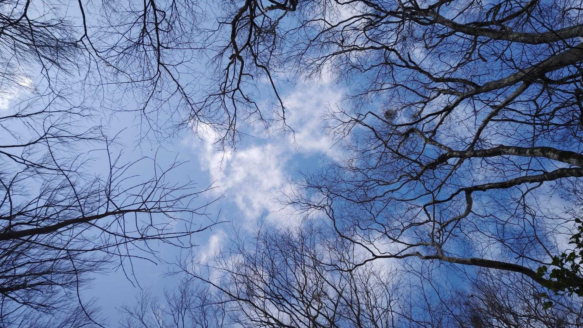 青空が嬉しくて😁