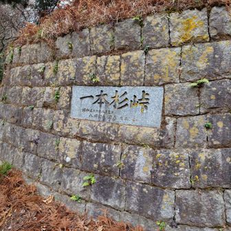 一本杉峠の石碑と石積
この写真を撮った時は、直ぐ近くでジムニーのグループがお昼を食べていました😋
走行会なのかな？なんて思いながら通り過ぎました。