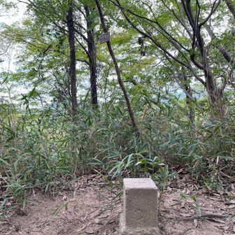堂徳山山頂