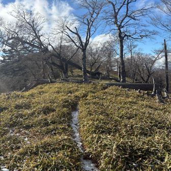 シカ🦌さんのフンがたくさん💦　シカさんが多いと言うことはヤマビルもたくさんいるのかな❓
