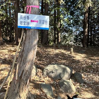 下りは展望台方面へ