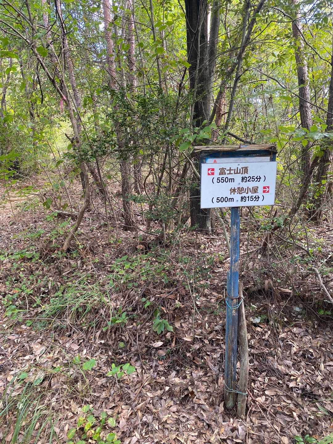 ここまで何度も休憩しながら、暑いし意外と急登💦
