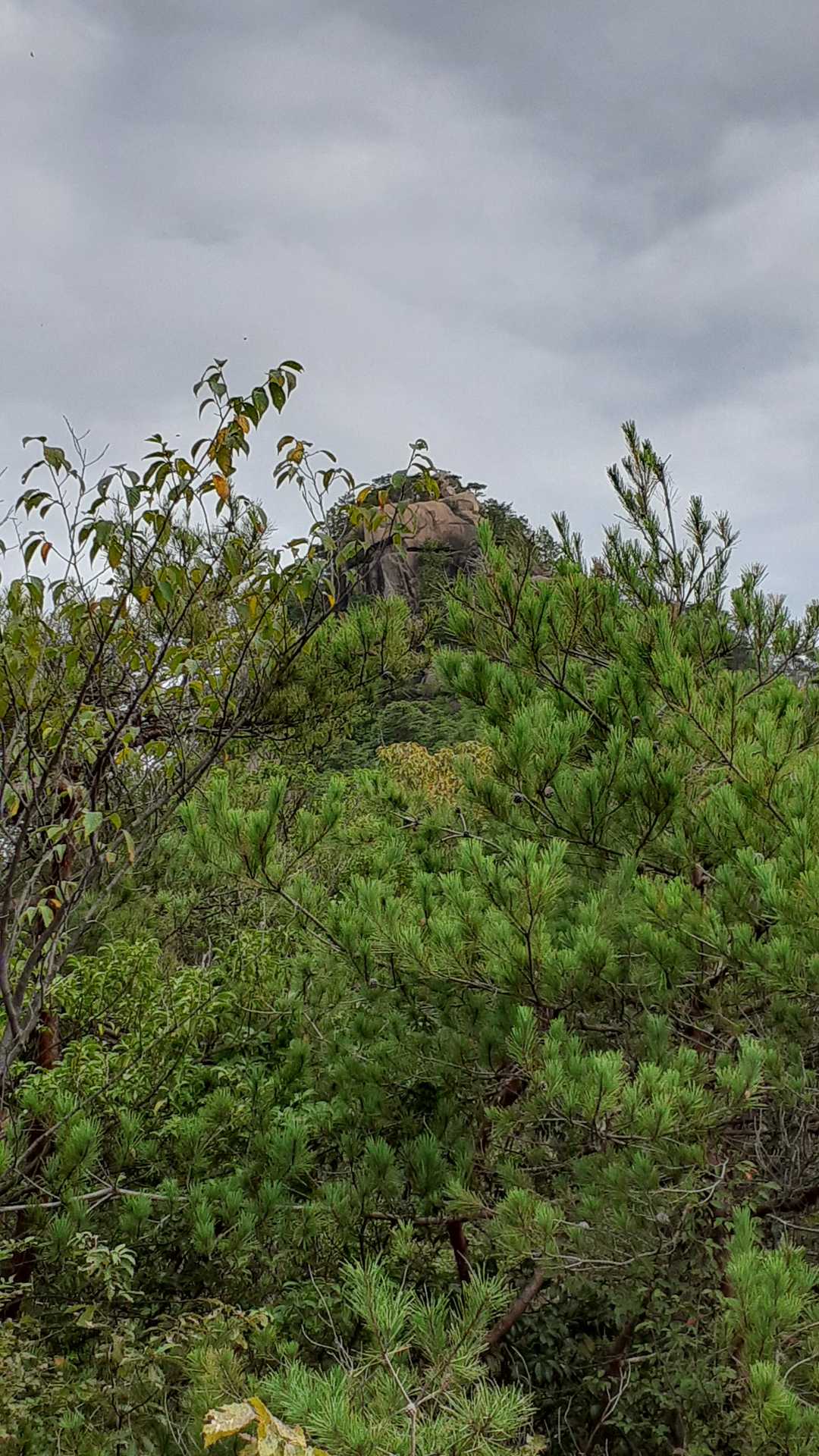 山頂岩稜❗