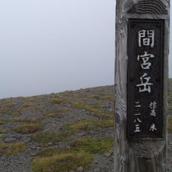 間宮岳の向こうに御鉢平と黒岳などが見えるはずなのになぁ…😫
