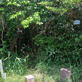 桑谷山山頂です